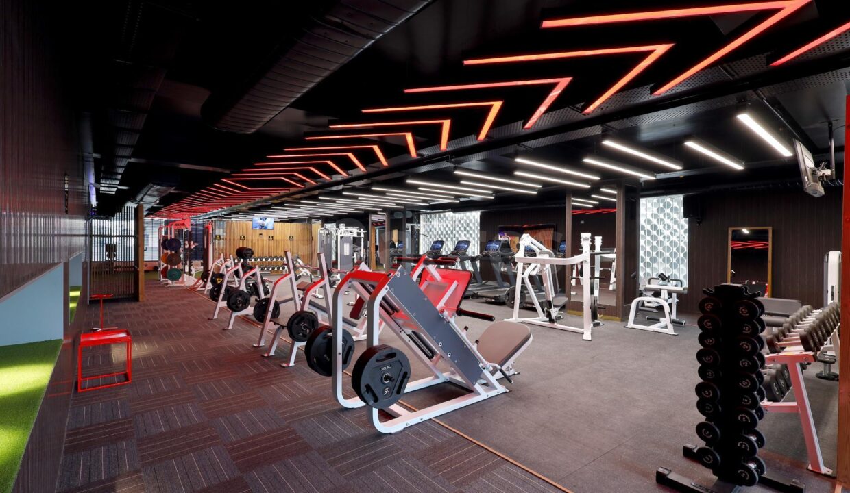 ibpu34w_1733228176_535253195_optOrig