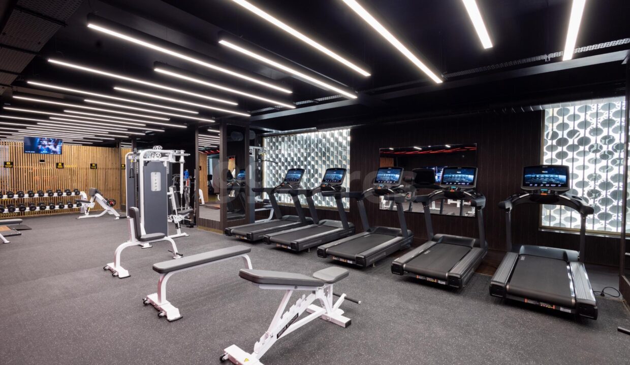 vbd7ciy_1733228171_535253199_optOrig