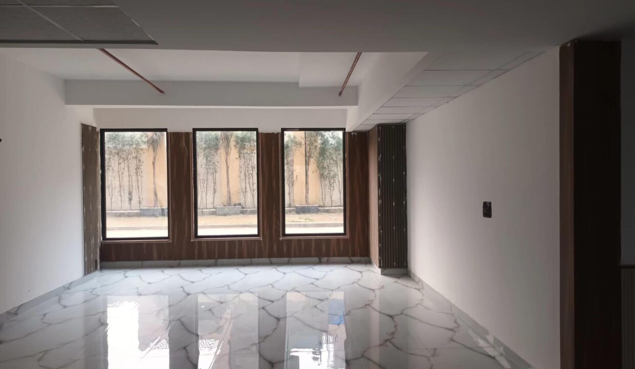 e6za81d_1736337928_552723213_optOrig